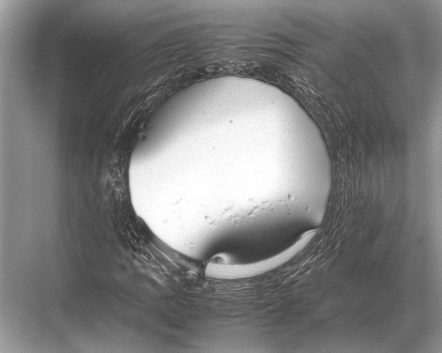 X0000067871109200605041800