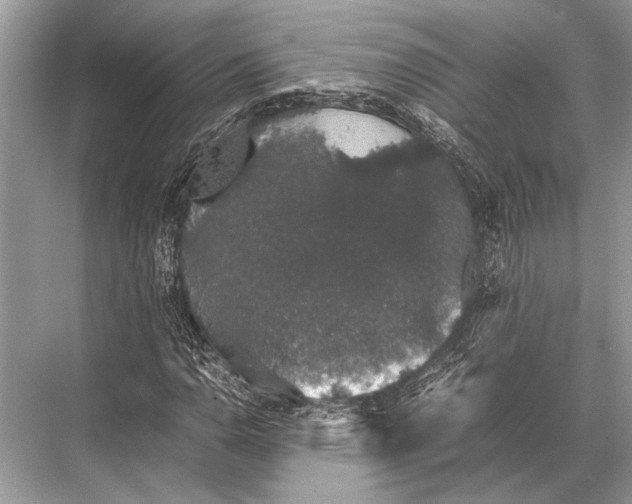 X0000067871110200605041800