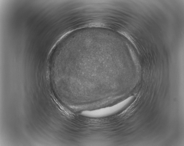 X0000067871115200605041800