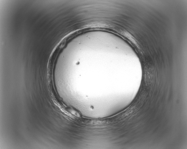 X0000067871116200605041800