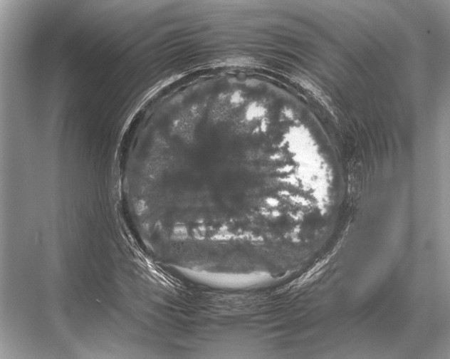 X0000067871117200605041800