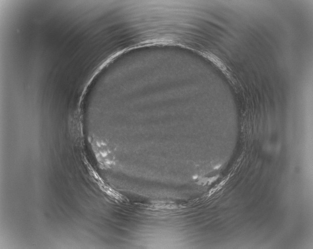 X0000067871118200605041800