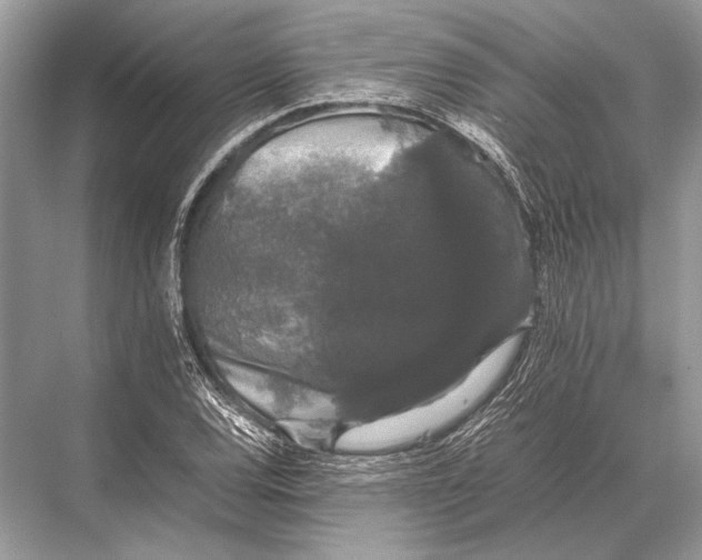 X0000067871120200605041800