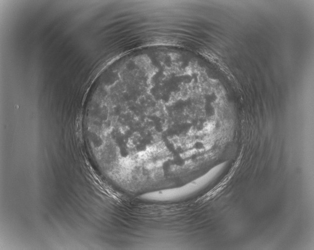 X0000067871121200605041800