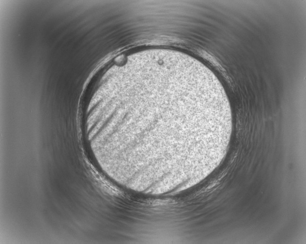 X0000067871122200605041800