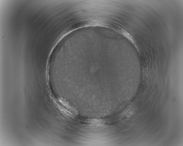 X0000067871124200605041800