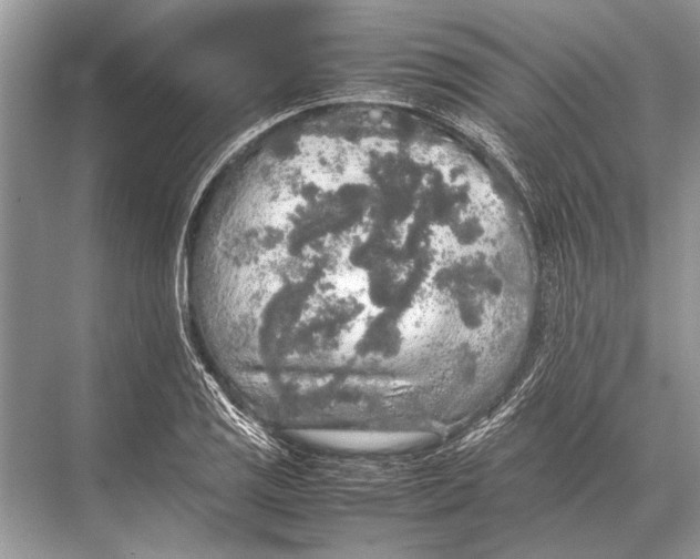 X0000067871125200605041800