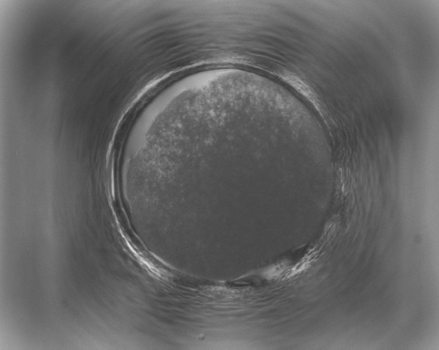 X0000067871127200605041800