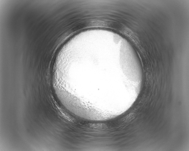 X0000067871129200605041800