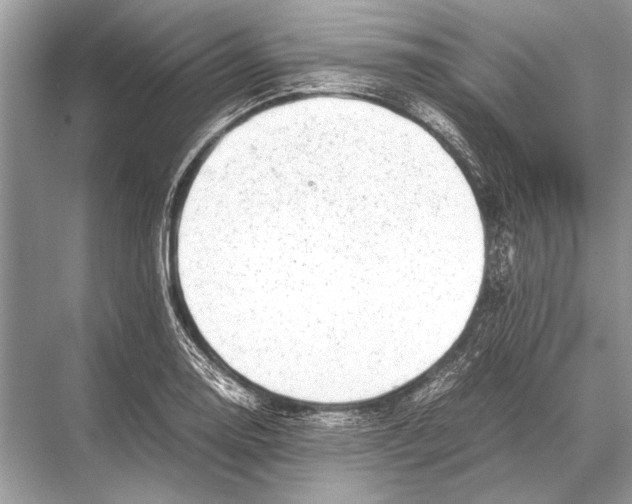 X0000067871130200605041800