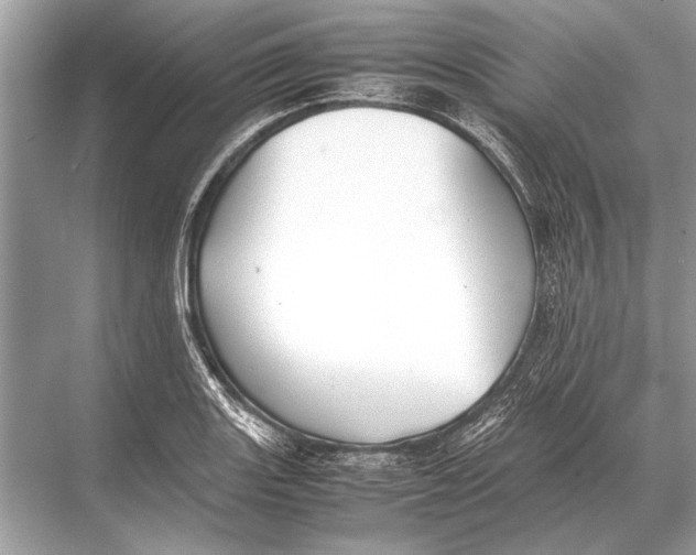 X0000067871131200605041800