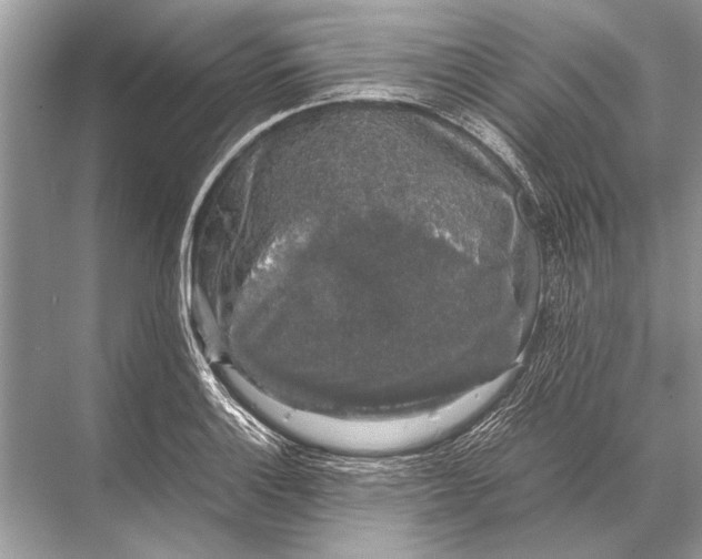 X0000067871132200605041800