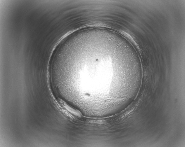 X0000067871133200605041800