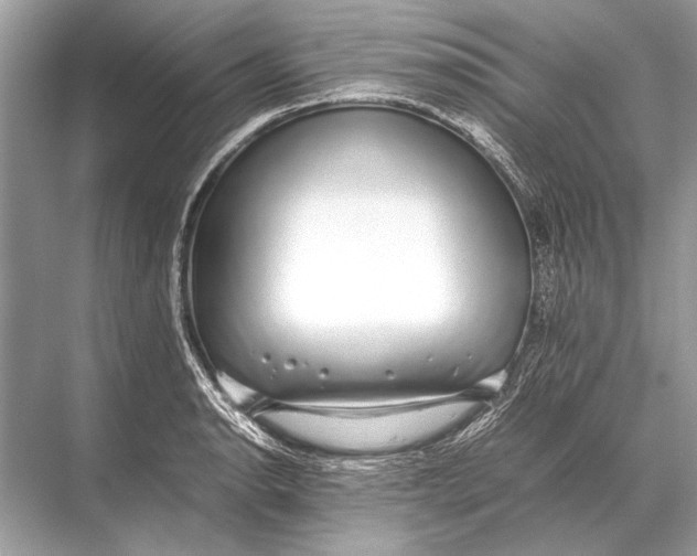 X0000067871134200605041800