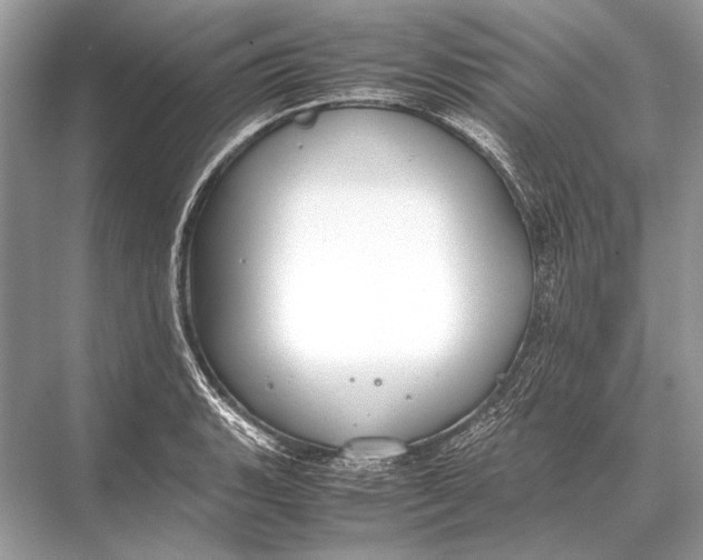 X0000067871135200605041800