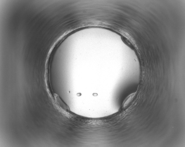 X0000067871136200605041800