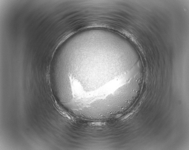 X0000067871137200605041800