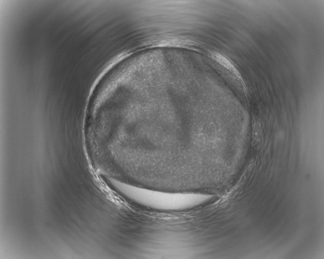 X0000067871138200605041800