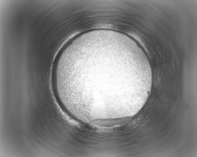 X0000067871139200605041800