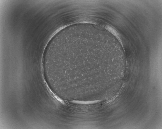 X0000067871141200605041800