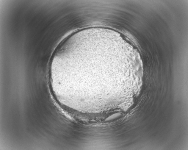 X0000067871142200605041800