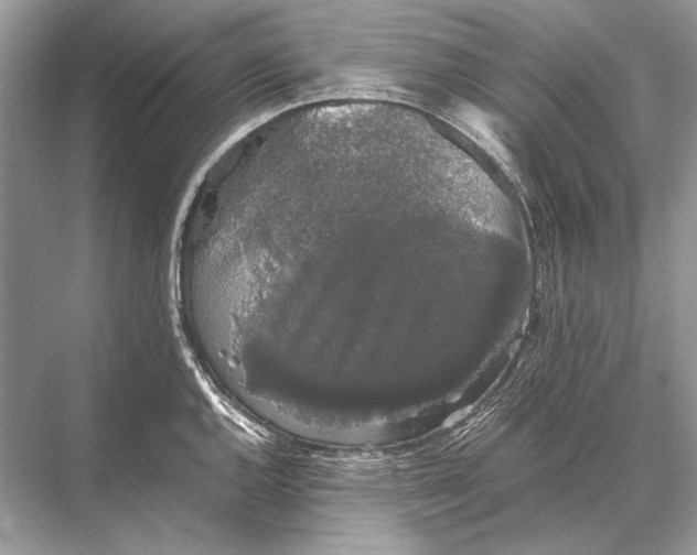 X0000067871144200605041800