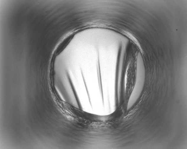 X0000067871146200605041800