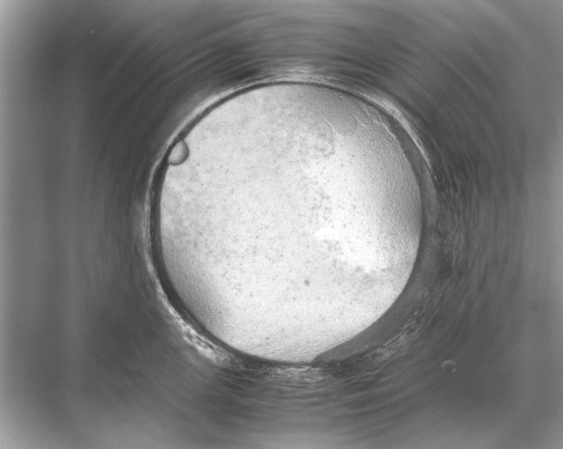 X0000067871147200605041800