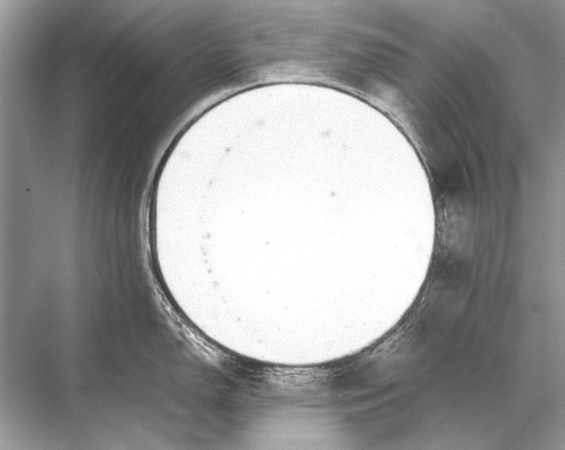 X0000067871150200605041800