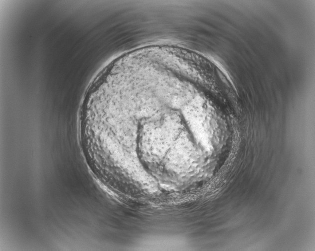 X0000067871151200605041800