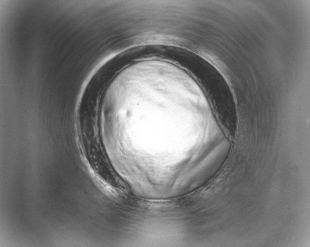 X0000067871152200605041800