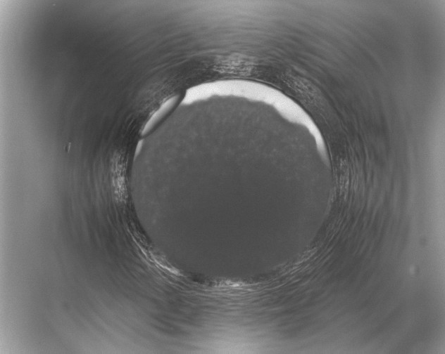 X0000067871154200605041800