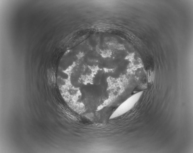 X0000067871155200605041800