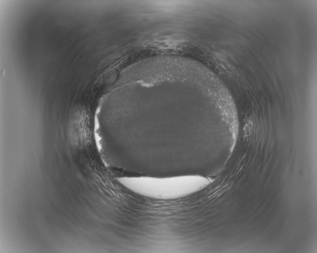 X0000067871156200605041800