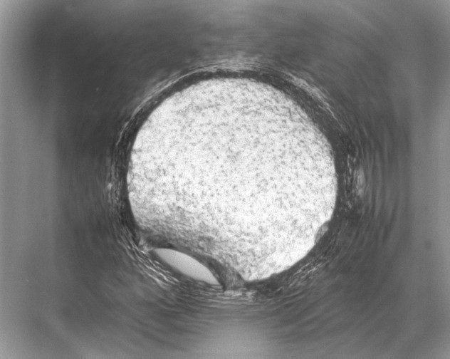 X0000067871160200605041800