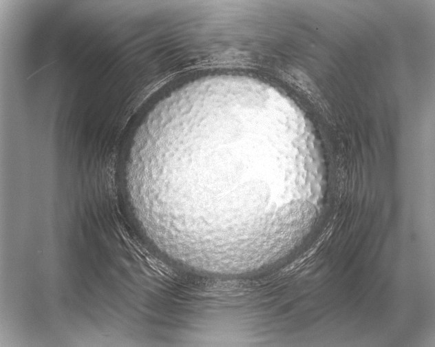 X0000067871162200605041800