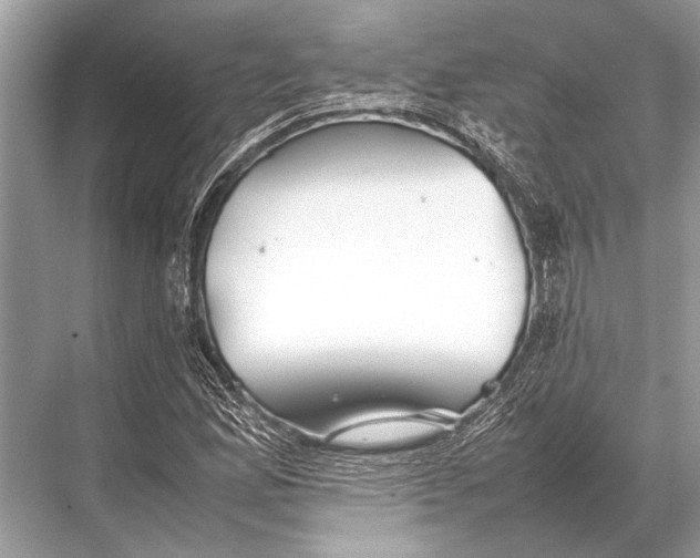 X0000067871165200605041759