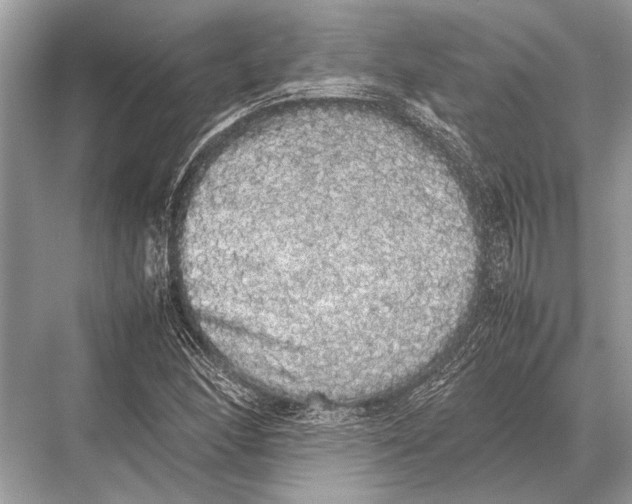 X0000067871166200605041759