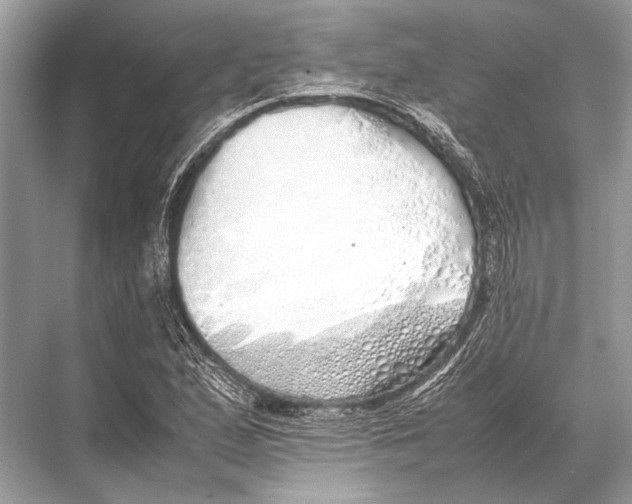 X0000067871167200605041759