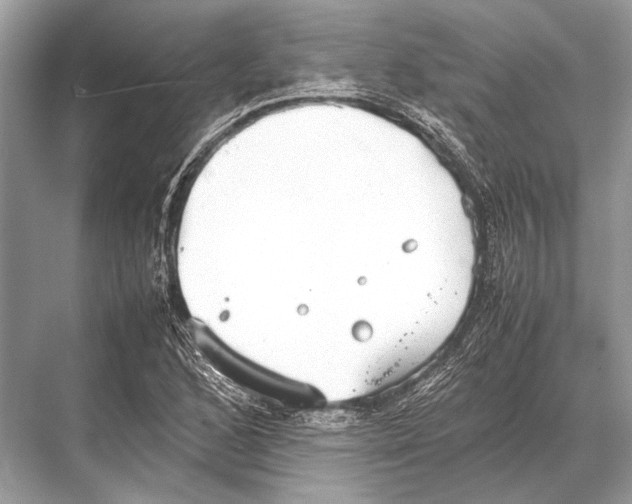 X0000067871168200605041759