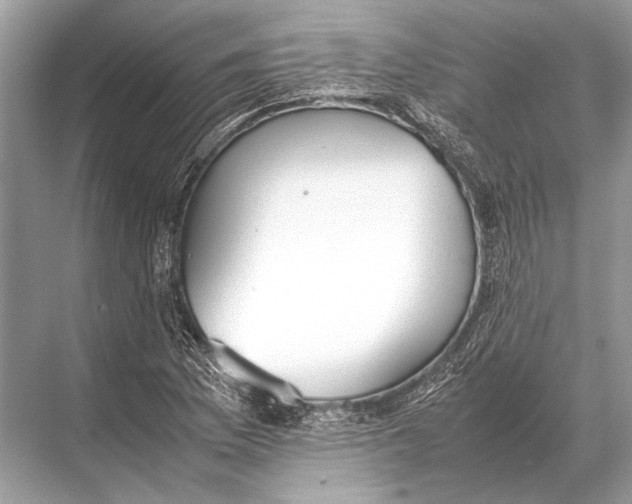 X0000067871169200605041759