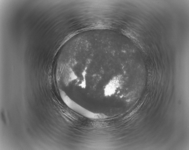 X0000067871170200605041759