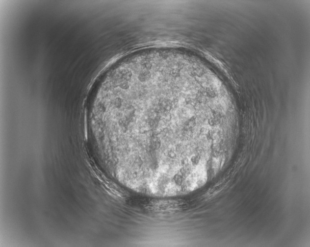 X0000067871171200605041759