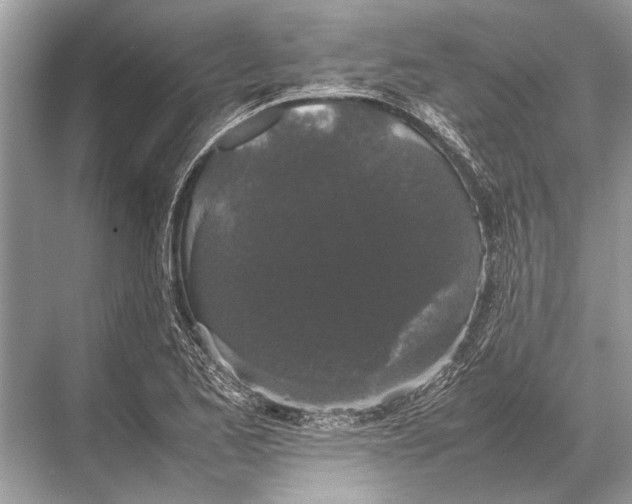 X0000067871173200605041759