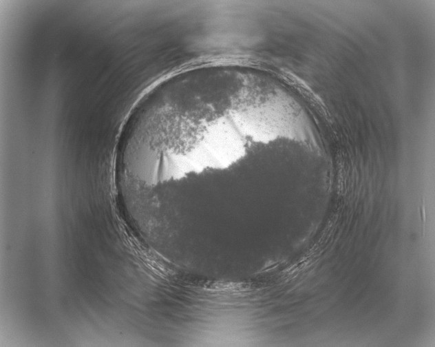 X0000067871174200605041759