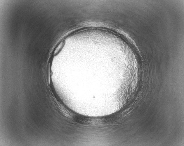 X0000067871175200605041759