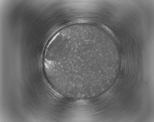 X0000067871178200605041759