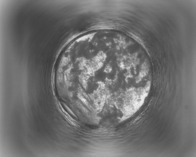 X0000067871179200605041759