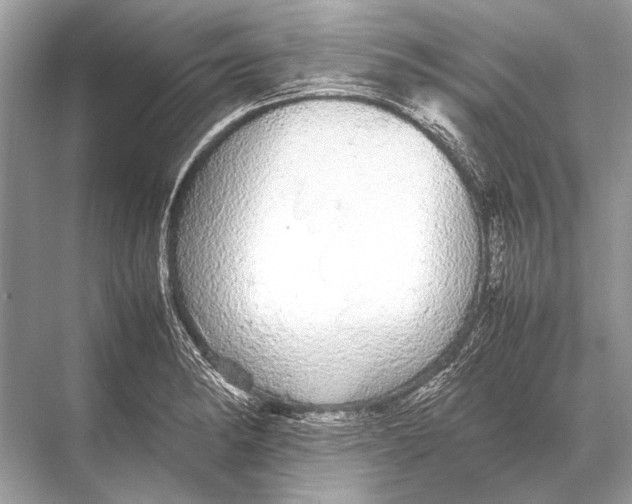 X0000067871182200605041759