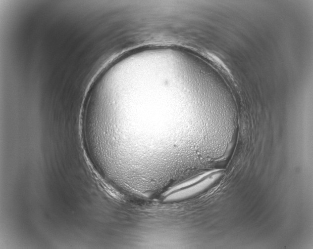 X0000067871183200605041759